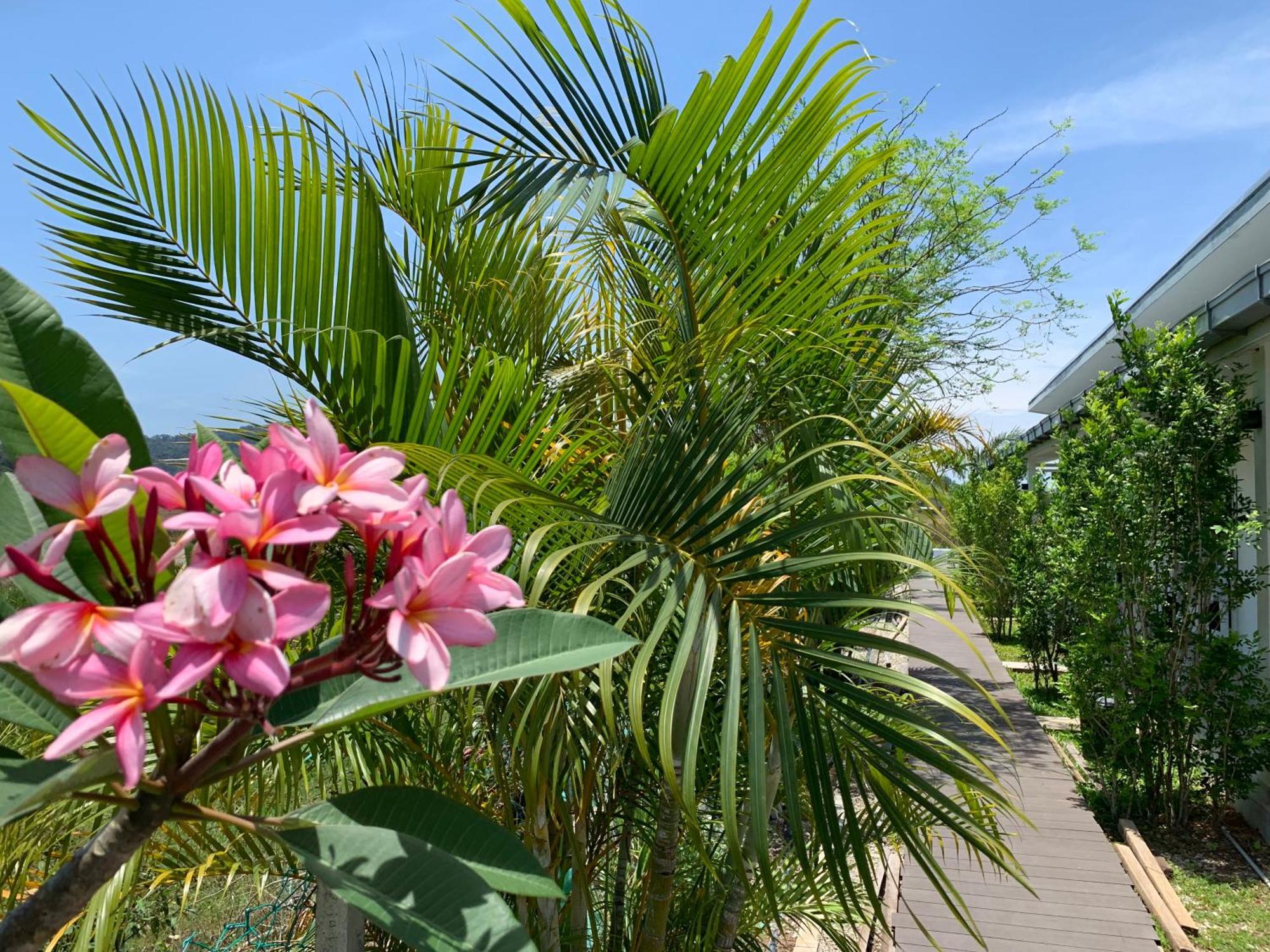 Cloud9 Holiday Cottages Pantai Cenang  Dış mekan fotoğraf