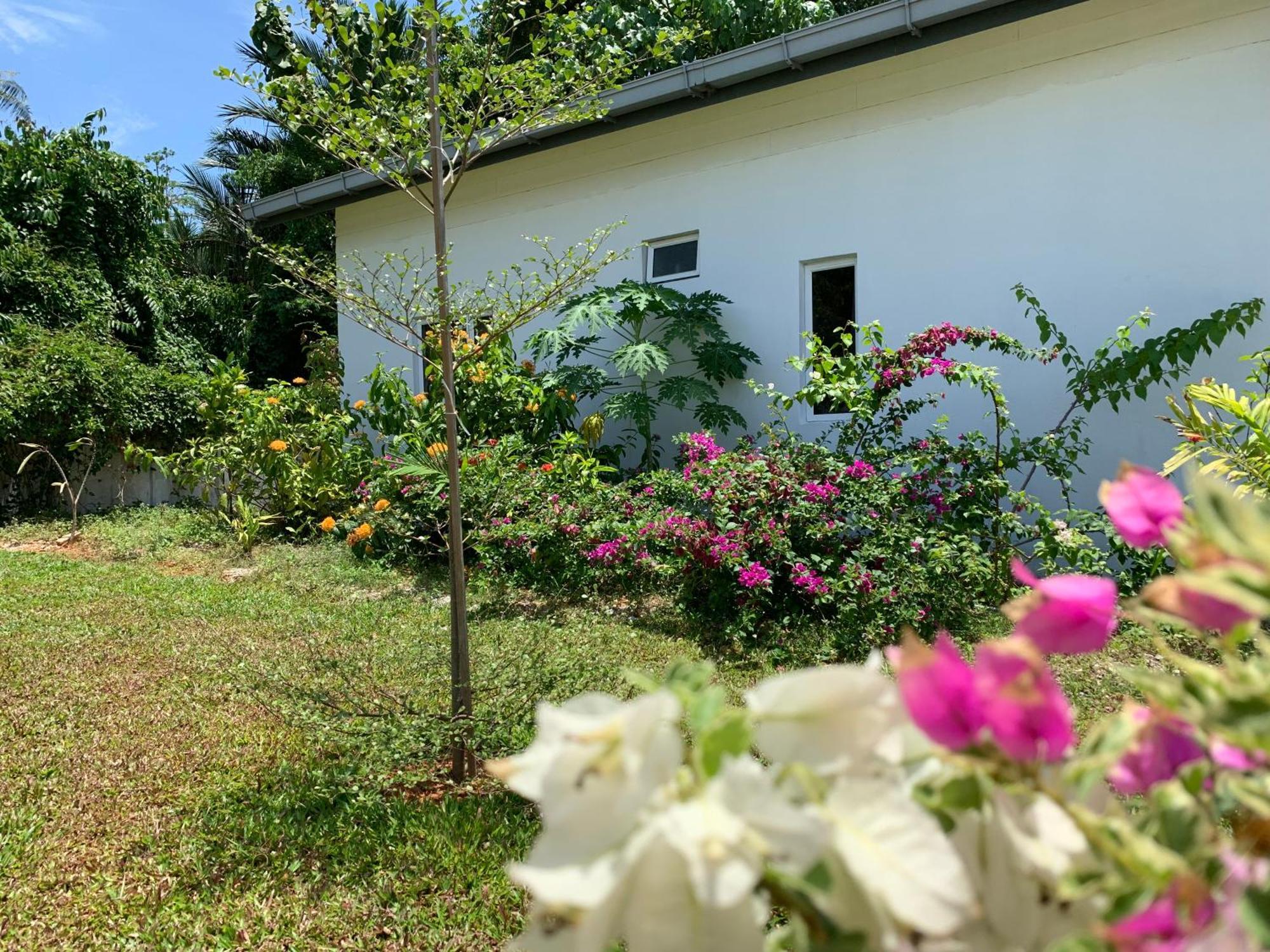 Cloud9 Holiday Cottages Pantai Cenang  Dış mekan fotoğraf