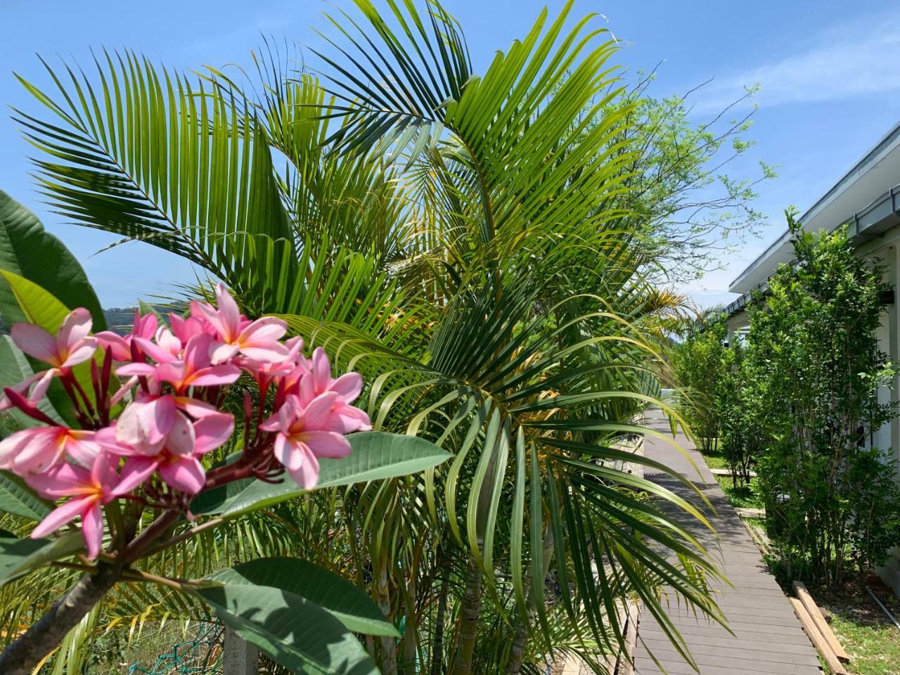 Cloud9 Holiday Cottages Pantai Cenang  Dış mekan fotoğraf